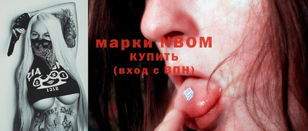 индика Переславль-Залесский