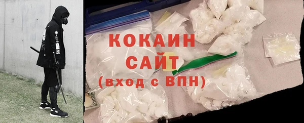 гашик Пестово