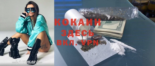 гашик Пестово