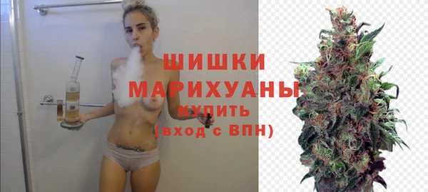 индика Переславль-Залесский