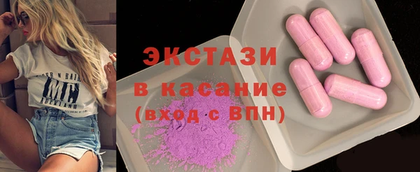 стаф Пересвет