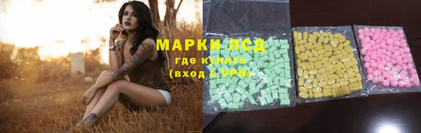 индика Переславль-Залесский