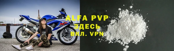 стаф Пересвет