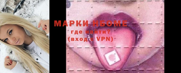 индика Переславль-Залесский