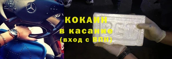 гашик Пестово