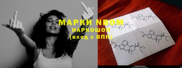 стаф Пересвет