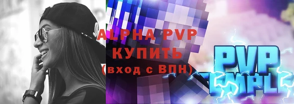 индика Переславль-Залесский