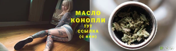 стаф Пересвет