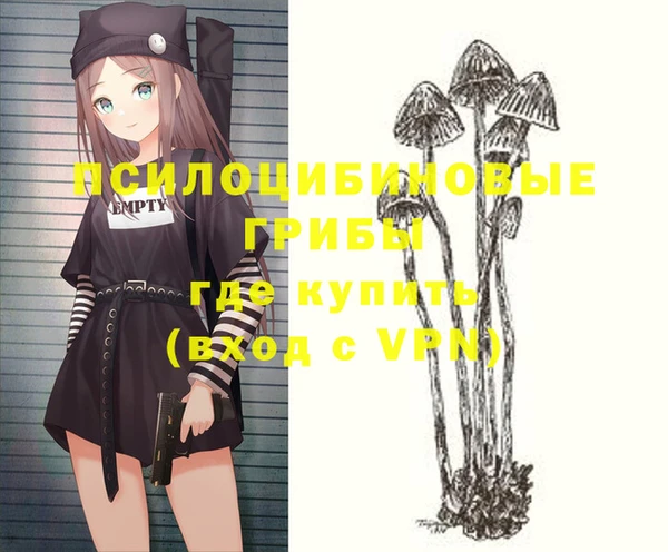 меф Ельня