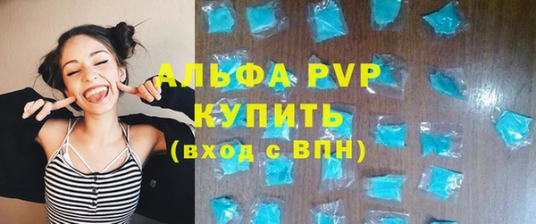 индика Переславль-Залесский