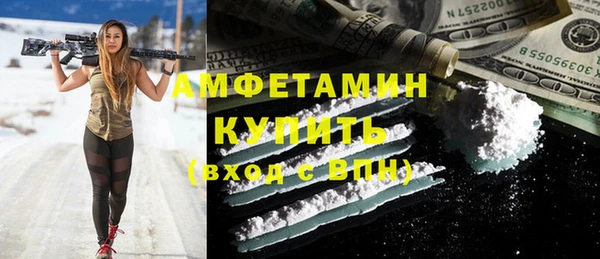 гашик Пестово