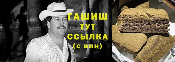индика Переславль-Залесский
