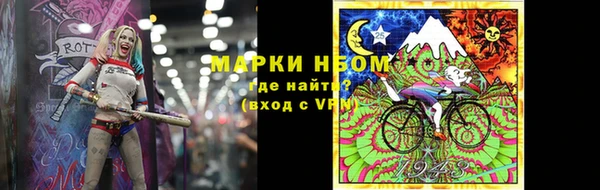 гашик Пестово