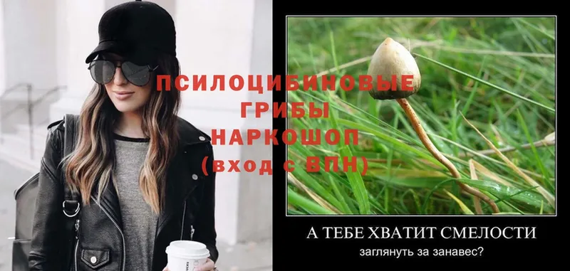 Галлюциногенные грибы MAGIC MUSHROOMS  Коряжма 