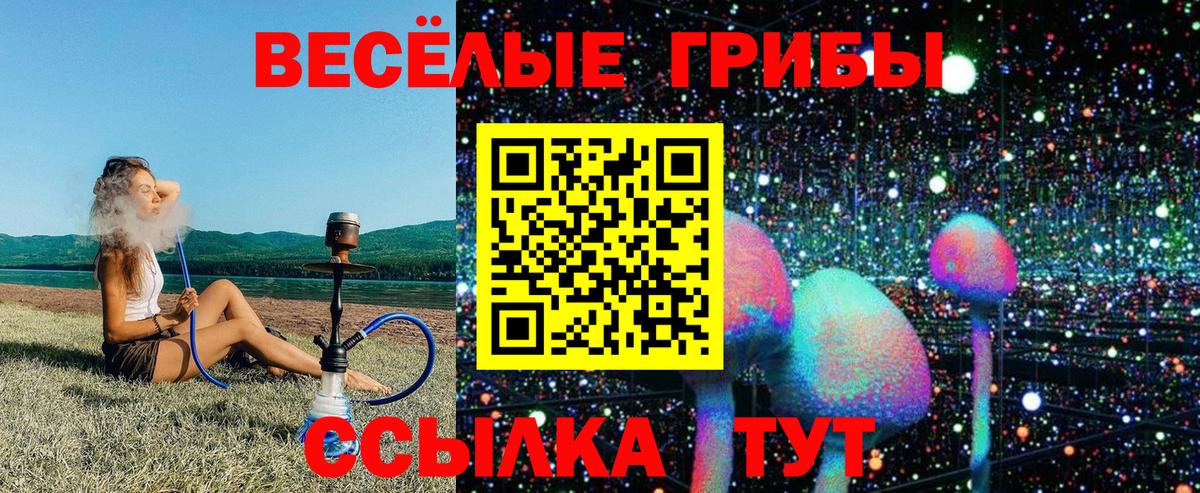 Галлюциногенные грибы Psilocybine cubensis Коряжма