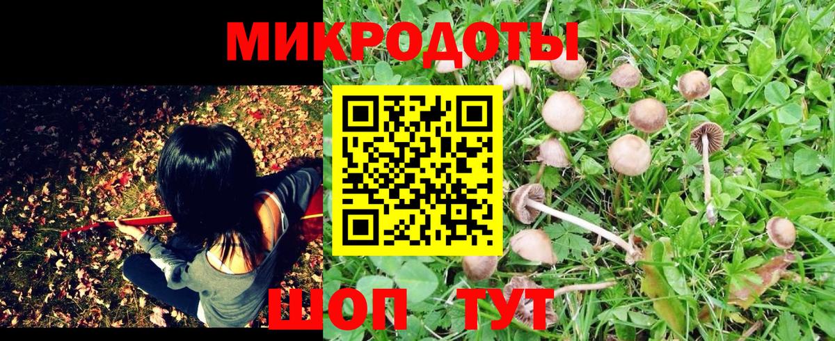 Псилоцибиновые грибы Psilocybe  Вход с VPN  Коряжма  Псилоцибиновые грибы MAGIC MUSHROOMS 