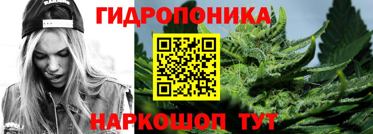 Канабис THC 21%  Каннабис OG Kush  Каннабис Amnesia  Вход с VPN  Коряжма 